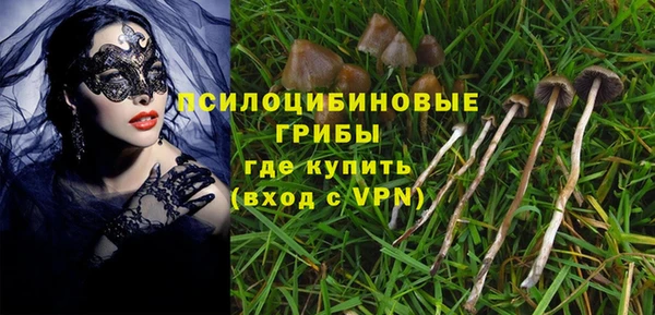спиды Алексеевка