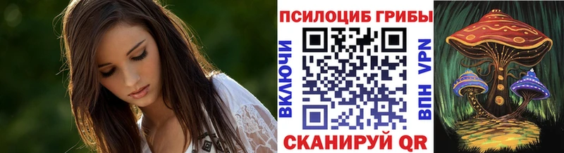 закладка  Тырныауз  Псилоцибиновые грибы прущие грибы 